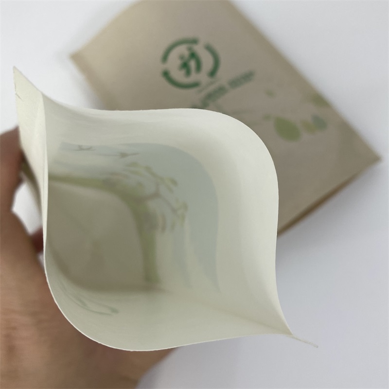 kraft paper bag with pla coat